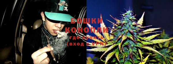 шишки Армянск